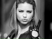 Фотография Nesterenko Regina