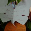 Мария Талалаева фотография #17 (источник - https://vk.com/id53978)