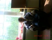 Фотография Фанина Русина