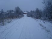 Фотография Букашкина Коли