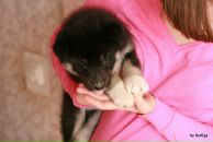 Фотография Артемчук Настёны