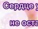 Ірішка Гедзенко фотография #45 (источник - https://vk.com/id136042642)