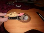 Фотография Романенко Алексея