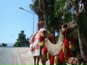 Фотография Гнидиной Ксении