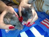 Фотография Максимовой Анны