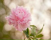 Фотография Гречишкиной Екатерины