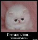 Світлана Семенків фотография #44 (источник - https://vk.com/id131543823)