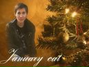 Фотография Январского Кота