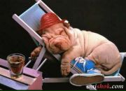 Ігор Півак фотография #13 (источник - https://vk.com/id46743879)