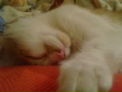 Фотография Меньших Кристины