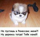Фотография Максимова Тимура