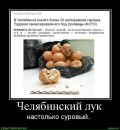 Андрій Петрович фотография #38 (источник - https://vk.com/id54547535)
