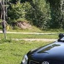 Віталій Базилян фотография #6 (источник - https://vk.com/id155411937)