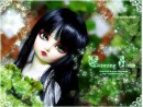 °♥°vivianna°♥° И. фотография #13 (источник - https://vk.com/id67298531)