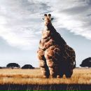 Фотография Каменских Ольги