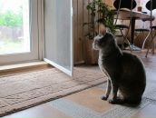 Иван Нави фотография #23 (источник - https://vk.com/id155927)