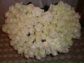 Фотография Петровой Екатерины