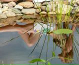 Фотография Андрейчевой Елены