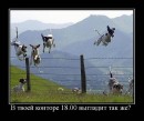 Игорь Луков фотография #33 (источник - https://vk.com/id4749943)