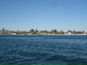 Ігор Лукашевич фотография #31 (источник - https://vk.com/id60850504)