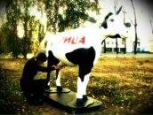 Фотография  