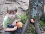 Соломія Юрченко фотография #8 (источник - https://vk.com/id80727518)