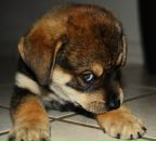 Фотография Попкова Сергея