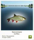 Сергій Ковбуз фотография #5 (источник - https://vk.com/id167973486)