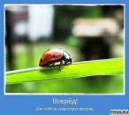 Андрій Абрамчук фотография #13 (источник - https://vk.com/id11939354)