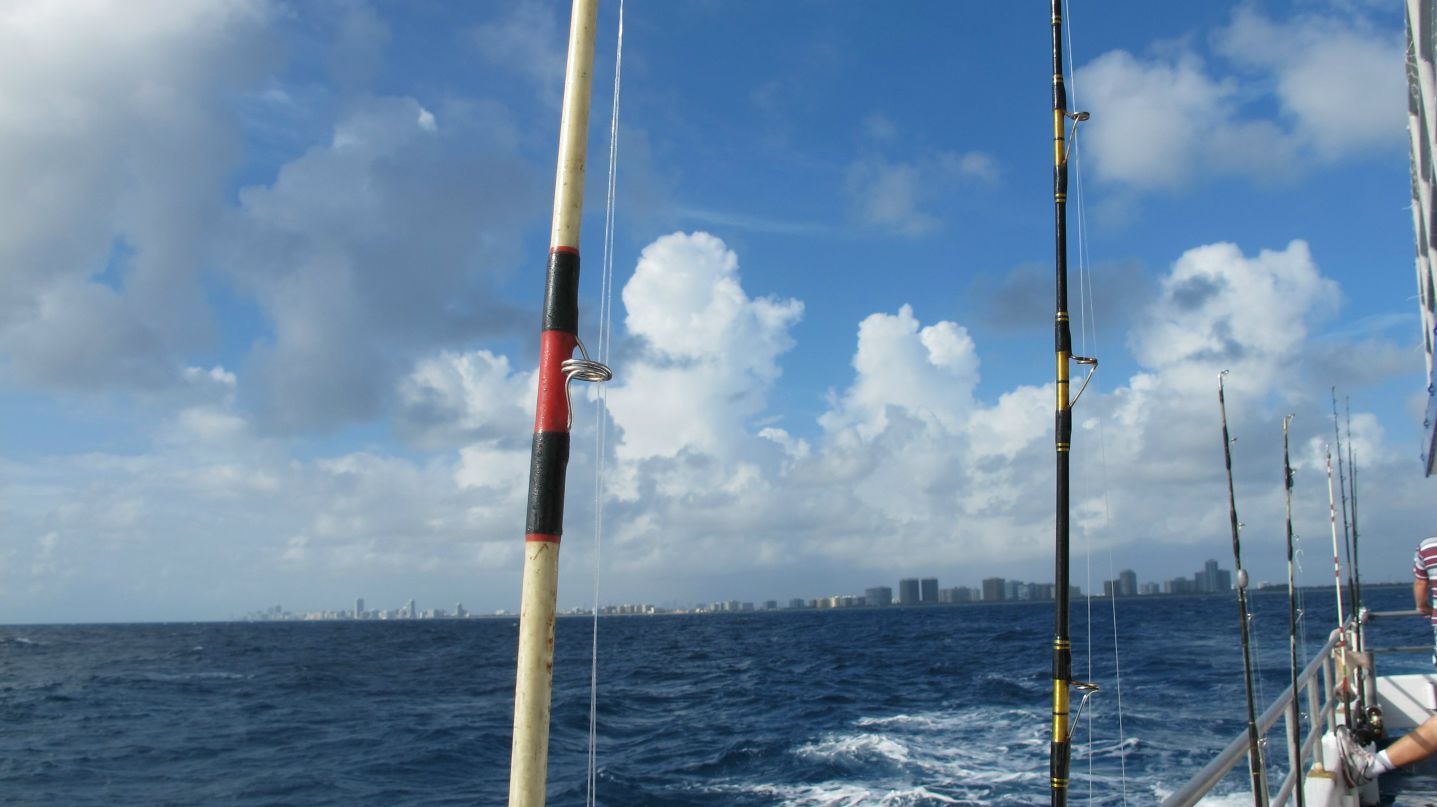 Dmitry Che фотография #15