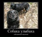 Роман Василенко фотография #11 (источник - https://vk.com/id4102616)