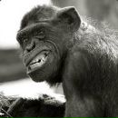 Фотография Баринова Максима