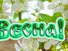Сверида Світлана фотография #36 (источник - https://vk.com/id160774743)