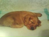 Вікторія Р-О фотография #29 (источник - https://vk.com/id39801757)