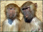 Фотография Игошина Андрея