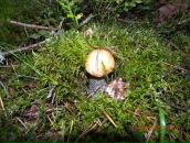 Фотография Фролова Веталя