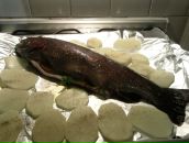 Міша Миронюк фотография #28 (источник - https://vk.com/id65674418)