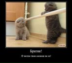 Дмитрий Бирюков фотография #19 (источник - https://vk.com/id67059265)