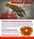 Любовь Κарасева фотография #20 (источник - https://vk.com/id140551115)
