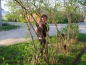 Фотография Хасановой Нинка