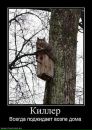Сергій Бахін фотография #36 (источник - https://vk.com/id61228979)