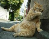 Дмитрий Стаднічук фотография #2 (источник - https://vk.com/id43622829)